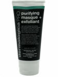  Duo Készlet, Dermalogica, Pro - Purifying Masque & Exfoliant, Japán matcha tea, Világosít/Nyugtat &