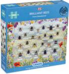 Gibsons Puzzle Gibsons din 1000 de piese - Insecte (G6343) Puzzle