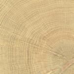 Emilceramica Padló Emil W-Circles oak 10x10 cm matt 00ENJD68 (100X100 WCI OAK)