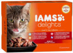 Iams Delights alutasak Land&Sea in jelly Multipack, többféle íz, zamatos aszpikban 12x85g