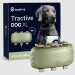 Tractive DOG XL Standard nyomkövető kutyáknak 25 kg felett aktivitásmérővel zöld színben TRDOG4XLGR