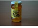 Institutul Apicol Miere poliflora 450gr INSTITUTUL APICOL