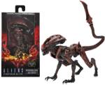 NECA Neca: Aliens Fireteam Elite Prowler Alien (Ajándéktárgyak)