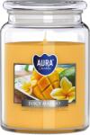 BISPOL Ароматна свещ Bispol Aura - Juicy Mango, 500 g (snd99-475)