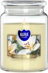 BISPOL Ароматна свещ Bispol Aura - Green Leavves Lily, 500 g (snd99-354)