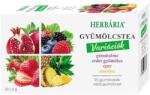 Herbária Gyümölcstea HERBÁRIA Mix 2. Gránátalma-Erdei gyümölcs-Eper-Ananász 20 filter/doboz - vectraline
