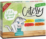 Catessy 56x85g Catessy falatok szószban tálcás nedves macskatáp 4 ízzel