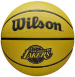 Wilson Kültéri kosárlabda, 5-ös méret - WILSON NBA TEAM TRIBUTE SOLID - LOS ANGELES LAKERS (SS_WZ4025414XB5)