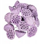 Luk Lótuszvirág, szárított, 8-10cm, lila, 25db, dekorációhoz (HURT-2019)