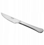 Tescoma Steak kés 2 db-os szett 22cm hosszú Tescoma (391438.00)