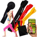 Trizand Set de benzi de rezistență Trizand Fitness - 3 bucăți, cu ancoră de ușă și plan de antrenament (00025879)