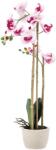 BackHomeLiving Floare artificială - Orchidă alb-roz - 70 cm (HID4771)