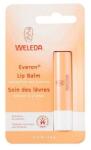 Weleda Everon Ajakbalzsam, 4, 8g, hidratáló, védő (4001638088381)