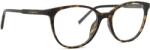 Dolce&Gabbana 0DG3425 502