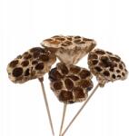 Luk Lótuszvirág, 6-8cm, arany, 4 db, 50cm pálcikán (GDF19860)