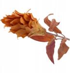  Mű egzotikus virág, barna, 80cm, csokrokhoz, díszekhez (KWO2008/BROWN)