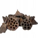 Luk Szárított lótuszvirág, 6-8cm, kb. 25db, egzotikus, sírdíszekhez (HURT-2021)