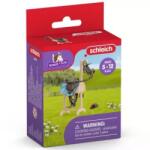 Schleich Schleich: Horse Club Suport de instrumente pentru cai cu suport 42613 Figurina