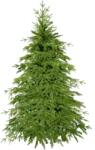 SPRINGOS Evergreen lucfenyő 120 cm (CT0175)