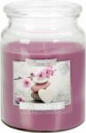 BISPOL Aura Maxi Spa kert 500 g