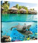 DEGRETS Vászonkép DEGRETS 78159, 80x80cm (78159)