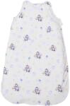 Lorelli Sac de Dormit de Iarna Lorelli 95 Cm Bumbac Ranforce Aeroplane Blue (2081039 5601)