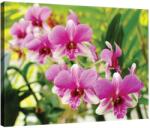 DEGRETS Vászonkép DEGRETS 78110, 75x100cm (78110)