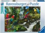Ravensburger Papagali in jungla 2000 piese rvspa17111 Puzzle