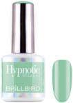 BrillBird TPO FREE Hypnotic HEMA Free Gel&Lac 8ml 12