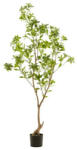  Élethű mű tea cserje fa - 185 cm
