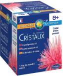 Sentosphère Set științific Sentosphere - Cultivă un cristal, roșu (2891)