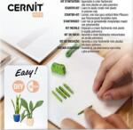 Cernit Starter Kit Полимерна глина (CEKIT002C)