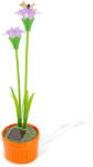 Garden of Eden 11735A