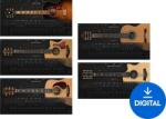 Ample Sound Ample 5in1 Acoustic Guitars Bundle (Produs digital)
