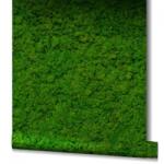 MARBURG Tapet Licheni decorativi UTD Marburg 34864