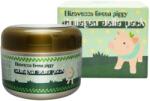 Elizavecca - Green Piggy Collagen Jella Pack 100g