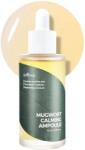 ISNTREE - Mugwort Calming Ampoule 50ml