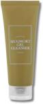 I'm from - Mugwort Gel Cleanser 150ml