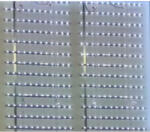 LEDvonal Merev LED szalag , 3031 , 12 led/m , 12W/m , hideg fehér (MZ66)