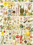 Gibsons 7160 - RHS - Botanical Bliss - 1000 db-os puzzle (G7160)