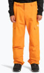 DC Pantaloni de snowboard pentru copii DC Banshee oriole