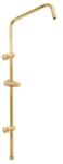 Rav Slezák Zuhanyrúd RAV SLEZÁK kefélt arany MD0763ZK (MD0763ZK)