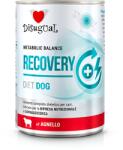 Disugual Disugual Recovery - Nedves, állatorvosi jellegű kutyatáp felnőtt kutyáknak, bárányhússal (400 g)