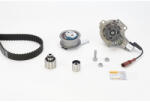 Continental Ctam Set distributie + pompa apa CONTINENTAL CTAM CT1168WP1