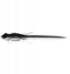 Libra Lures FROG TADPOLE TAIL 21cm 35g csali, 001 fehér színben, Vertical módszerhez (LL-FTT8.2-NT001)