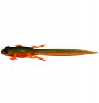 Libra Lures Frog Tadpole Tail, 21cm, 35g, 111 Angry Carrot (LL-FTT8.2-NT111)