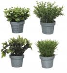  Műnövény cserépben, 13cm, műanyag (8718533301175)