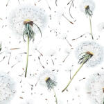 Takoy Pelenka bambusz muszlin Takoy szél által fújt pitypang