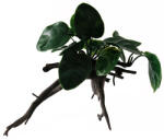 Pannon Pet Műnövény dekor 130 (PN39130)