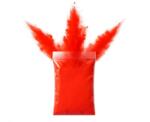 Balloon Fire Pudr colorat pentru petreceri Holi - Roșu 70 g